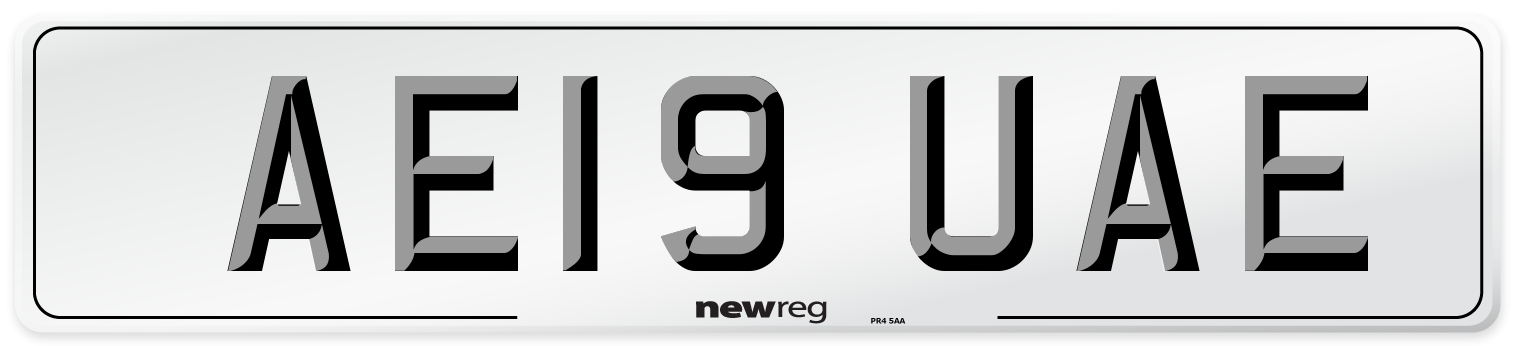 AE19 UAE Number Plate from New Reg